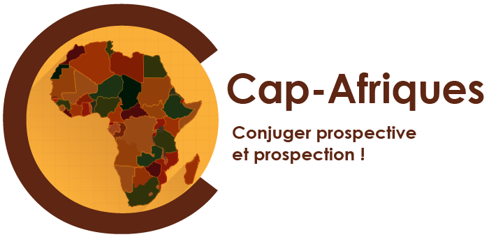 Centre d’analyse et de prospective sur les Afriques (CAP-Afriques)