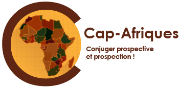 Centre d’analyse et de prospective sur les Afriques (CAP-Afriques)